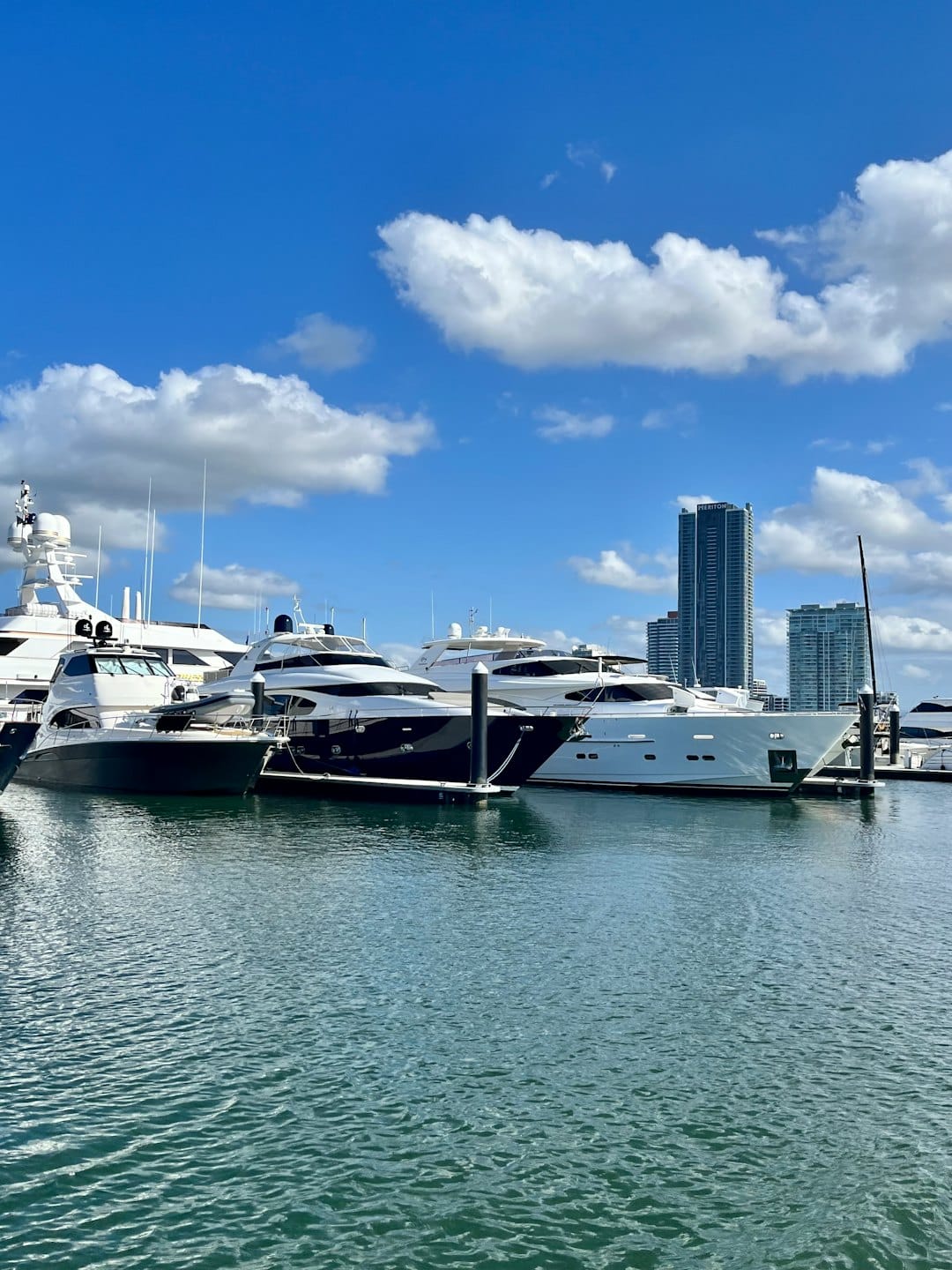 Yacht di lusso ormeggiati in un porto turistico con lo skyline della città sullo sfondo.